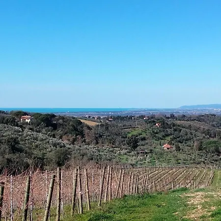 Lejlighed Le Scuderie App 6 Ottimo Trilocale Con Wi Fi Donoratico